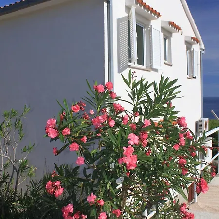 Appartement With Parking Space Brgujac, Vis - 8919 *